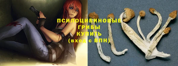 мяу мяу мука Шали