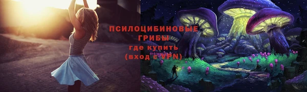 мдпв Шенкурск