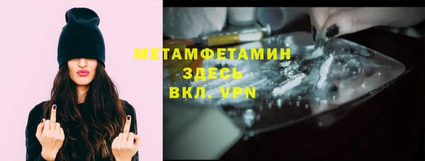 мдпв Шенкурск