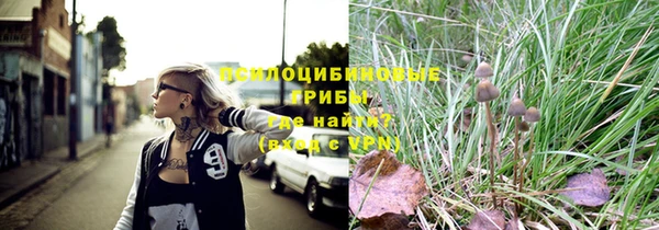 мдпв Шенкурск