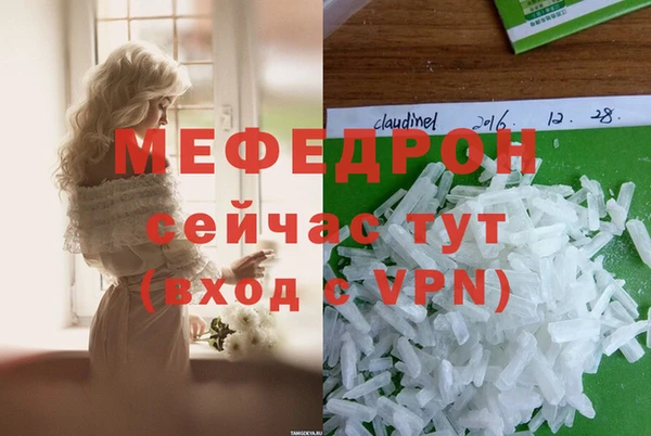 мдпв Шенкурск