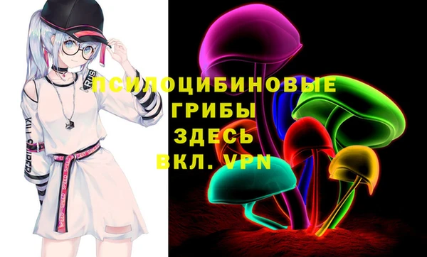 МДПВ Шарыпово