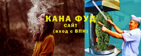 мдпв Шенкурск